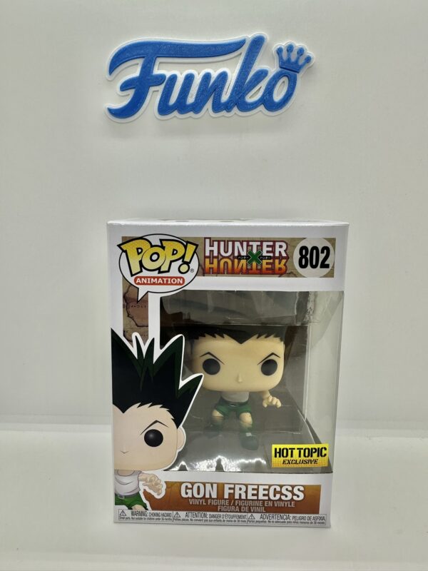 IMG_8259 Hunter X Hunter Gon 802