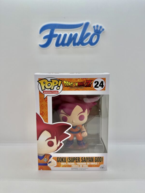 IMG_7158 Goku Super Saiyan God 24